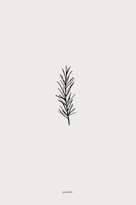 Evergreen Drawing Simple, Simple Pinecone Tattoo, Pine Needles Tattoo, Pine Sprig Tattoo, Spruce Branch Tattoo, Pine Tattoo Branch, Pine Tree Branch Tattoo, Pine Leaf Tattoo, Scots Pine Tattoo