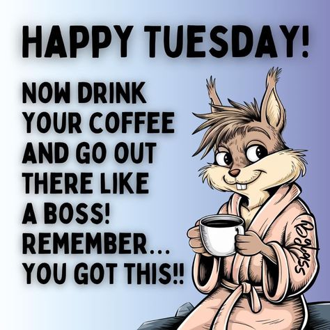 Happy Tuesday Morning Funny, Good Morning Tuesday Funny, Tuesday Humor Funny Hilarious, Sticker Images, Good Morning Tuesday, Tuesday Humor, Tuesday Morning, Good Morning Coffee, Morning Messages