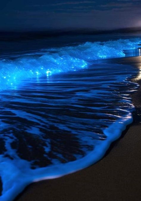 Blue Aesthetic Dark, Ocean At Night, Home Decor Blue, Sea Of Stars, Ocean Pictures, Night Scenery, Blue Space, Pretty Landscapes, Ocean Vibes