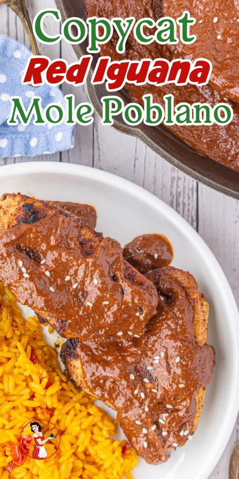 An overhead view of grilled chicken covered in mole sauce. Chicken Mole Recipe Dona Maria, Turkey Mole Recipe, Mole Sauce Recipe, Southern Comfort Food Recipes, Mexican Mole Sauce, Chicken Mole Recipe, Mexican Mole, Mole Recipe, Food Authentic