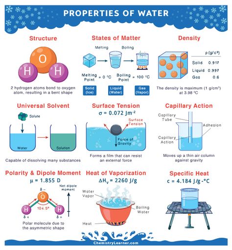 Properties of Water Polarity Of Molecules, Properties Of Water Notes, Cohesion And Adhesion Of Water, Water Properties, Properties Of Water, Chemistry Activities, Solid Liquid Gas, Chemistry Study Guide, Chemistry Basics