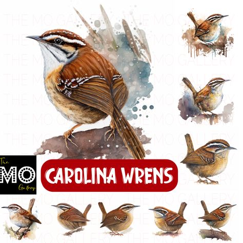 These 25 Carolina Wren bird watercolor portraits are a must-have for any bird enthusiast or nature lover. Each portrait is a high-quality PNG file and JPG file, with a size of 4096px by 4096px and a background. The portraits are created at 300 DPI, ensuring that each detail is captured in stunning clarity. These beautiful portraits can be used for a variety of creative projects, such as apparel, invitations, wall art, mugs, coasters, journals, posters, card making, digital planner, scrapbooks, Wren Drawing, Carolina Wren, Book Cover Artwork, Birds And Flowers, Cover Artwork, Vector Drawing, File Free, Wren, Artwork Design