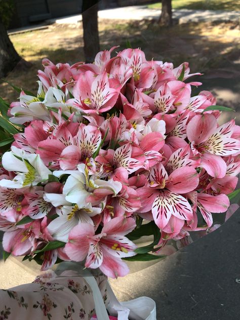 Alstroemeria Bouquet, Flower Identification, Boquette Flowers, Nothing But Flowers, Flowers Bouquet Gift, Flower Therapy, Beautiful Bouquet Of Flowers, Flower Lover, Exotic Flowers