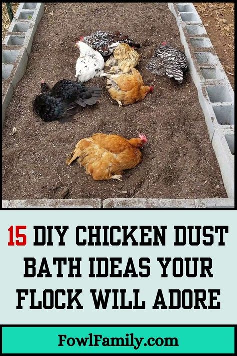 15 DIY Chicken Dust Bath Ideas Your Flock Will Adore Diy Chicken Dust Bath, Diy Dust Bath, Chicken Dust Bath Ideas, Chicken Dust Bath, Dust Bath For Chickens, Repurposed Containers, Chicken Facts, Backyard Features, Dust Bath