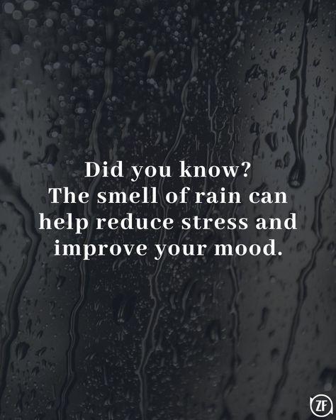 Did you know? The smell of rain can help reduce stress and improve your mood. Quotes About Rain, Smell Of Rain Quotes, The Smell Of Rain, About Rain, Rain Quotes, Smell Of Rain, Engaging Content, Funny Cute Cats, Travel And Leisure