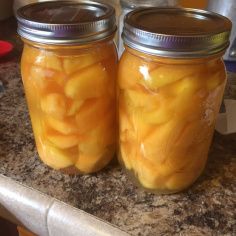 Pickled Cantaloupe Manwhich Recipes, Apple Cider Vinegar Water, Pickled Fruit, Szechuan Recipes, Mulberry Recipes, Cantaloupe Recipes, Canning Jam Recipes, Spagetti Recipe, Canning Fruit