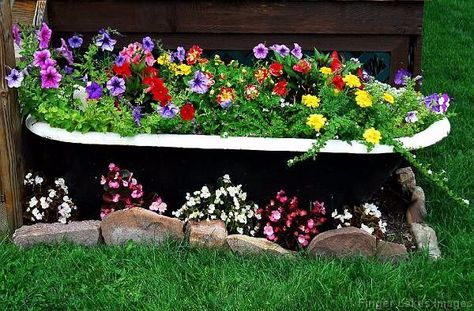 6 ways to transform an old bathtub into a stunning planter for your garden Garden Bathtub, Old Bathtub, Tub Ideas, Garden Tub, Garden And Yard, Garden Planters, Garden Projects, Garden Inspiration, Container Gardening