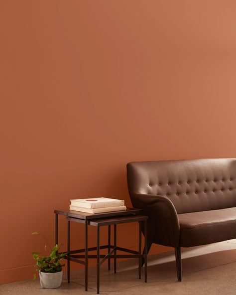 Paint Color Swatches, Orange Paint Colors, Deco Orange, Color Terracota, Copper Kettle, Benjamin Moore Colors, Orange Paint, Orange Walls, Rose Pastel