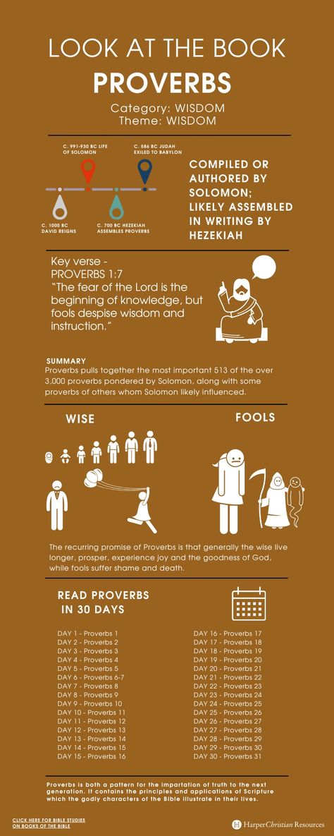 Look at the Book: Proverbs [Infographic] | Bible Gateway News & Knowledge Proverbs Bible Study, Bible Summary, The Book Of Proverbs, Proverbs 17 17, Study Plans, Book Of Proverbs, Bible Study Plans, Wisdom Books, Fear Of The Lord