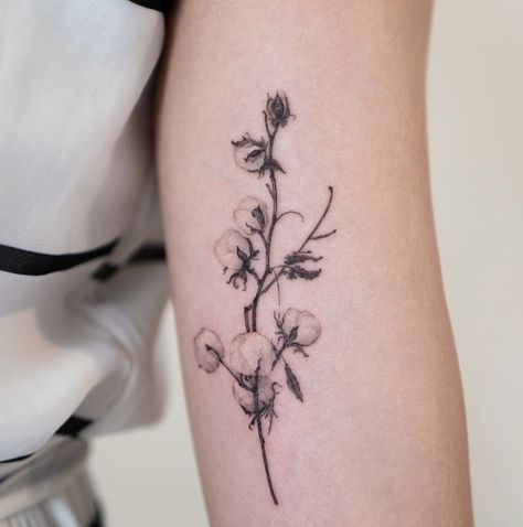 Dainty Flower Tattoo, Dainty Flower Tattoos, Flower Tattoo Meanings, Cactus Tattoo, Floral Tattoo Design, Cotton Flower, Tattoo Videos, Dainty Tattoos, Cover Up Tattoos