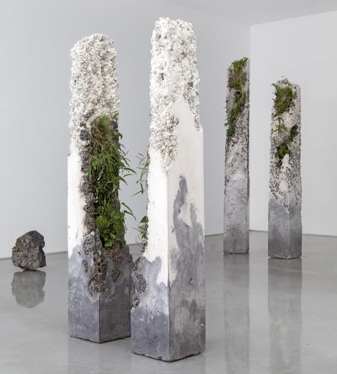 Australian Plants Grow from the Crevices of Jamie North’s Living Sculptures | Colossal Concrete Sculpture, Australian Plants, Concrete Projects, Concrete Art, Australian Native, Art Installation, Plant Art, Shop Ideas, Sculpture Installation