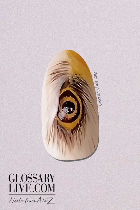 If you love hand painted art, or always wanted to learn, this eagle eye design is a perfect tutorial to watch. This unique, life-like design looks complicated, but with detailed steps this materpiece is easy to follow and create. Eagle eye by:  Aigul Fritzke.  #nailart #nail #inspire #manicure #glitter #nailstagram #gelnails #nailsofinstagram #naildesign #nailpolish #instanails #nailswag #acrylic #nailsart #nailsonfleek #gel #acrylicnails #naildesigns #nailsoftheday Eagle Nails, Love Hand, Eagle Design, Nail Art Videos, Eagle Eye, Nail Forms, Art Brushes, Eye Design, Nail Technician