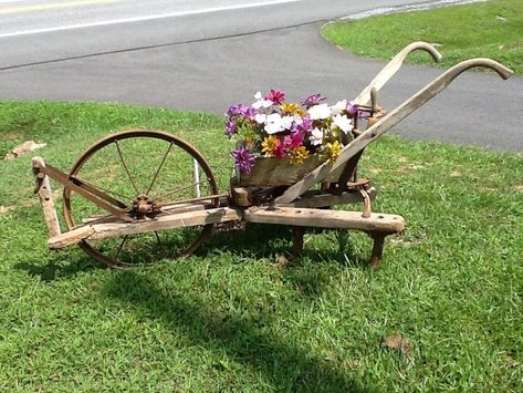 Landscaping Farmhouse, Farm Landscaping, Outdoor Topiary, Hydrangea Landscaping, Rustic Landscaping, Garden Magic, Driveway Landscaping, Farmhouse Landscaping, Old Farm Equipment