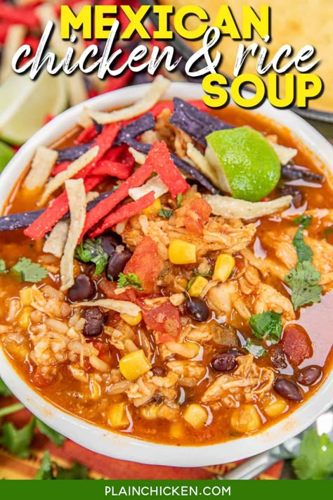 Mexican Chicken & Rice Soup Recipe - this hearty soup is a new family favorite! Chicken, taco seasoning, black beans, corn, Rotel, diced green chiles, tomato juice, chicken broth, and Spanish rice. Perfect for chilly days or anytime you're craving a hearty, satisfying meal. Don't forget to customize your bowl with all your favorite toppings – cheese, avocado, cilantro, and more. Mexican Chicken And Rice Soup Recipe, Mexican Chicken Rice Soup, Corn Rotel, Mexican Chicken Rice, Crockpot Mexican Chicken, Soup Night, Mexican Chopped Salad, Food Substitutes, Mexican Chicken And Rice