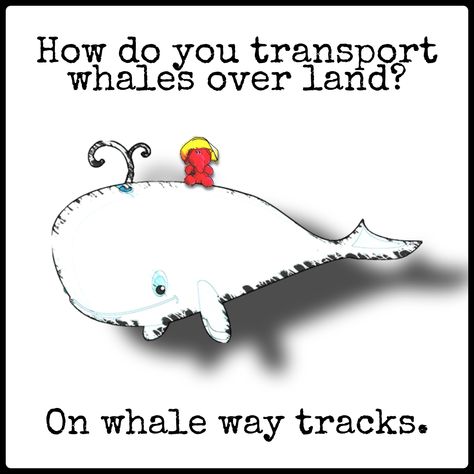 Funny Whale Pictures, Shark Puns Funny, Sea Puns, Whale Jokes, Elephant Puns, Whale Puns Funny, Kids Jokes And Riddles, Notes For Kids Lunches, Bad Dad Jokes