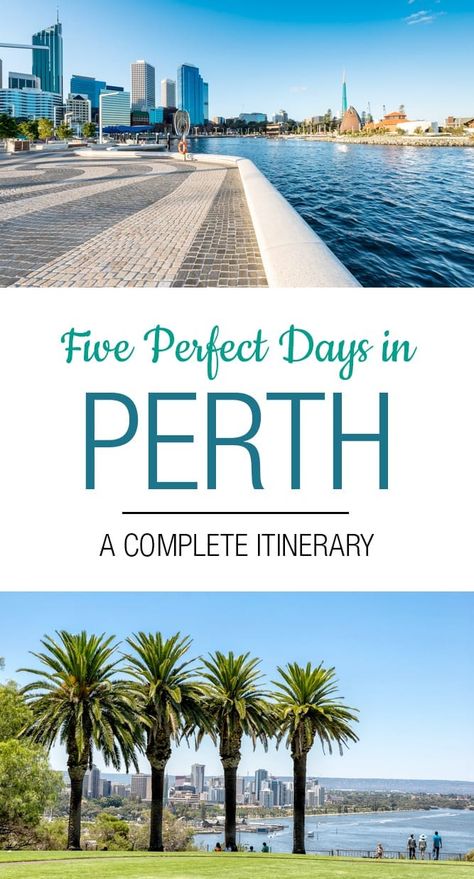 5 Days in Perth: The Perfect Perth Itinerary Perth Itinerary, Western Australia Road Trip, Perth Travel, Western Australia Travel, Australia Itinerary, Australia Vacation, Australia Travel Guide, Australian Travel, Oceania Travel