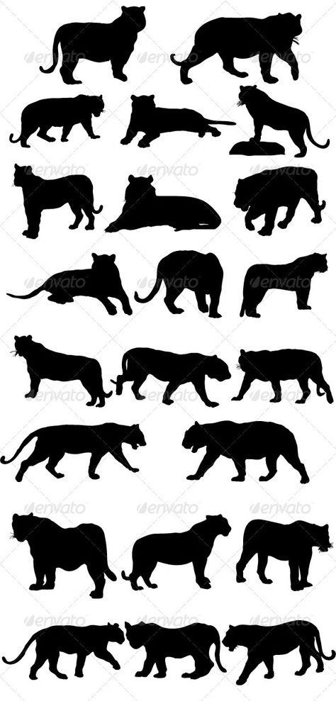 Tiger Silhouettes Tattoo Ideas Silhouettes, Cats Tattoo Ideas, Tiger Silhouette, Cats Tattoo, Cats Art Drawing, Silhouette Tattoos, Elements Illustration, Vector Graphics Design, Web Elements