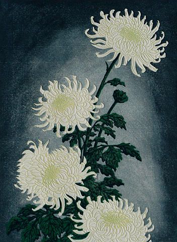 The Visual Vamp — iamjapanese: Carl Thiemann（Bohemian, 1881-1966） ... Japanese Chrysanthemum, Chrysanthemum Tattoo, White Chrysanthemum, Relief Printing, Woodcuts Prints, Flower Art Painting, Black And Grey Tattoos, Painting Illustration, Chrysanthemum