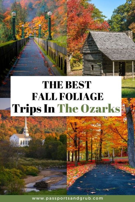 Are you ready to planning your fall road trips yet? I suggest taking a road trip to the Ozarks to see the Arkansas fall foliage.Arkansas may be known for its hot springs, beautiful lakes, and rivers but make no mistake the fall foliage in Arkansas can compete with the foliage in Tennessee, Oregon, Washington, and Colorado.The state of Arkansas turns into gorgeous shades of reds, oranges, and yellows every fall.  I suggest starting your road trip to see the Arkansas fall colors in the norther Arkansas Fall Foliage, The Old Mill Arkansas, Missouri Fall Foliage Road Trip, Ozark Mountains Road Trip, Fall In Arkansas, Arkansas In The Fall, Branson In The Fall, Arkansas Fall Foliage Road Trip, Autumn Vacations