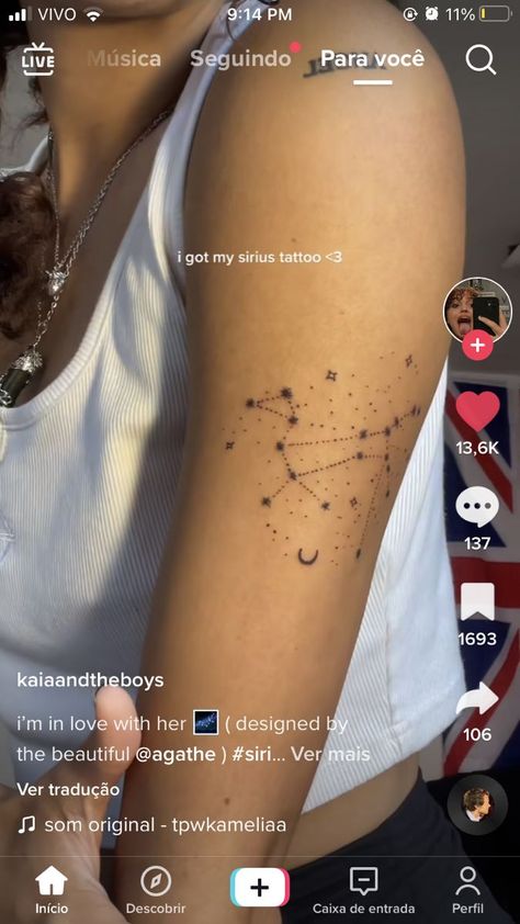 Sirius Constellation Tattoo, Sirius Black Tattoo Ideas, Wolfstar Tattoo, Marauders Tattoo Ideas, Sirius Tattoo, Fictional Tattoos, Marauders Tattoo, Couple Tat, Minimal Tattoo Designs