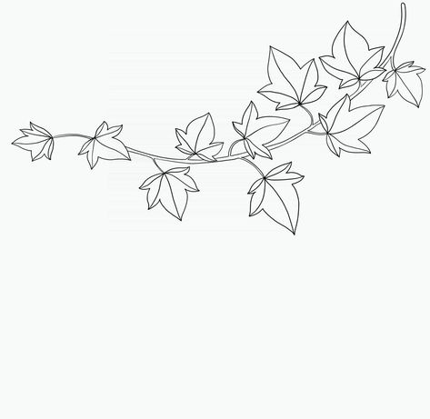 Einfachheit Efeu Freihand zeichnen flaches Design. Ivy Tattoo Ribs, Ivy Line Drawing, Ivy Drawing Simple, Ivy Leaves Drawing, Ivy Leaf Drawing, Ivy Leaf Tattoo, Ivy Tattoo Design, Ivy Sketch, Ivy Drawing