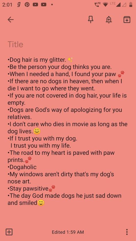 Dog Captions For Insta, Dog Instagram Captions, Bulldog Quotes, Instagram Caption Lyrics, One Word Caption, Puppy Quotes, Tik Tok Videos Funny, Colorful Hairstyles, Cute Captions