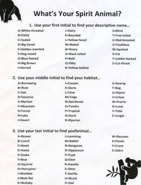 What's your Animal Spirit Name? White-throated Taiga Owl Funny Name Generator, Birthday Scenario Game, Spirit Animal Quiz, Whats Your Spirit Animal, What Animal Are You, Scenario Game, Birthday Scenario, Funny Koala, Animal Quiz