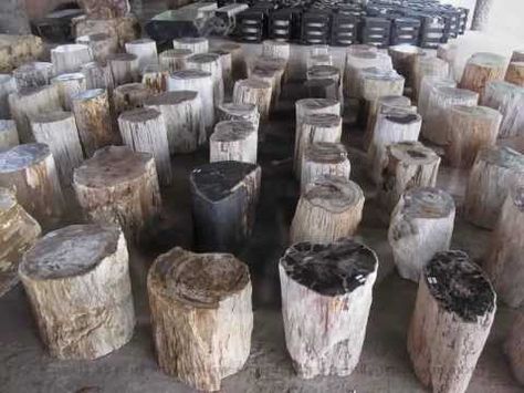 Fossil Wood Stools, Petrified Wood Furniture, Petrified Logs and Fossil Tree's for sale from IndoGemstone.com  indogemstone@gmail.com Log Side Table, Wood Stools, Wood Stumps, Fossilized Wood, Wood For Sale, Log Siding, Wood Stool, Wood Stone, Side Table Wood