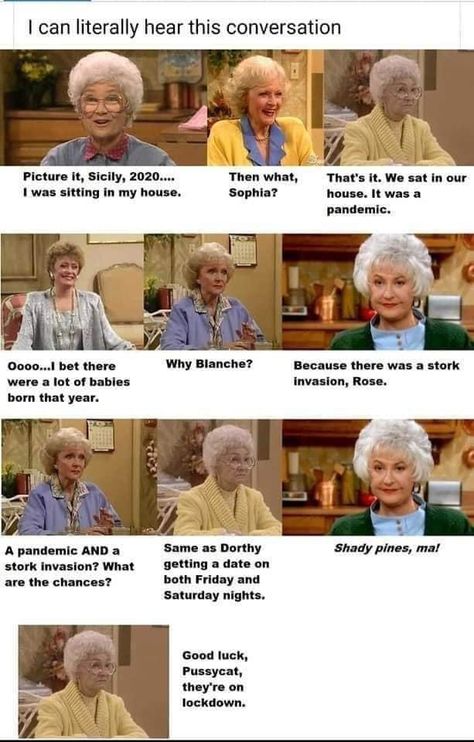 Golden Girls Humor, Golden Girls Quotes, Desks Office, Favorite Show, The Golden Girls, Conference Tables, Girl Memes, Keto Lifestyle, Betty White