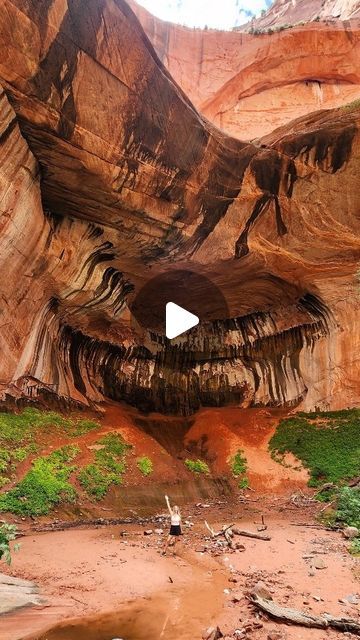 Melissa • Hiking • Travel • Outdoors on Instagram: "Skip the crowds of Zion National Park and hike this lesser known trail 👣

📍Middle Fork Taylor Creek Trail- Kolob Canyons, Zions Wilderness 
🥾 5 miles round-trip rated moderate.
⛰️ Elevation Gain - 620 ft.
 
On the other side of Zions called Kolob Canyons, you will find this spectacular trail leading you to a Double Arch Alcove. 

☆ Beautiful scenic trail. 2 historic cabins, multiple river crossings, towering red rocks, and forest.  This is a fun, unique hike perfect for the whole family.
.
.
.
.
.
.
#adventure #hikemoreworryless #hikingutah #hikingadventures #hikeutah #stayandwander #adventuremore #adventureseeker #beautifulexplorers #beautifuldestinations #chasingviews #discoverearth" Arch Alcove, Kolob Canyon, Red Rocks, Travel Outdoors, G Adventures, Zion National Park, Round Trip, Family Adventure, Hiking Trip