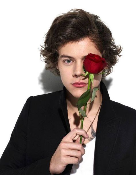 Okay pictures of Harry are hard to handle but no, they had to go and put a rose in there....thank you im officially dead Harry Styles 2010, Harry Styles 2015, Harry Styles Gif, Harry Styles Quotes, Gambar One Direction, Xavier Rudd, Harry Styles Tattoos, Harry Styles Hot, Harry Styles Funny