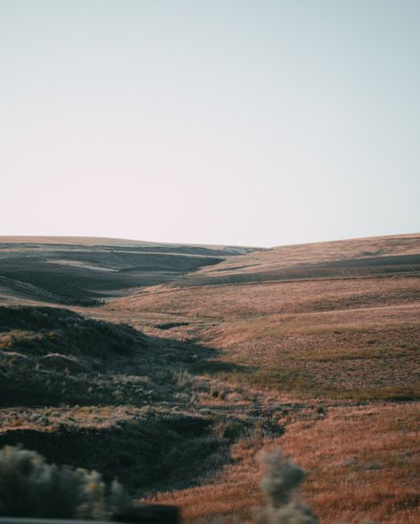 Pnw Vibes, Pasco Washington, Eastern Washington, Spaghetti Western, Tri Cities, Media Management, Senior Pics, North America Travel, Tasting Room