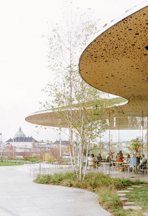 The Opera Park in Copenhagen @ Francisco Tirado Frozen Pond, Covered Walkway, Water Lily Pond, Classic Garden, Urban Nature, Most Beautiful Gardens, Herbaceous Perennials, Green Lawn, Romantic Garden