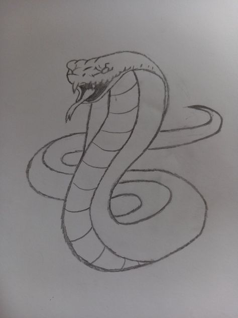 Cute Cobra Drawing, Simple Easy Sketches, Cobra Sketch, Snake Drawing Simple, Snake Drawing Sketches, Snake Sketches, Cobra Drawing, Snake Drawings, Easy Pen Drawing