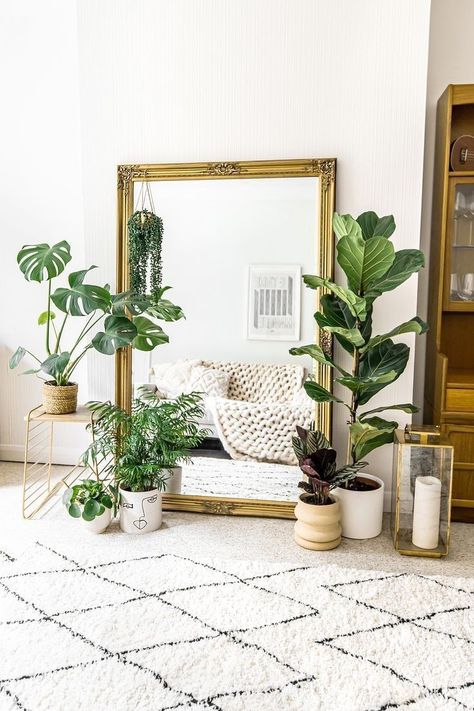 (paid link) The Best plants for the active Room in Feng Shui  1. Rubber plant  2. Areca Palm  3. English Ivy  4. goodwill Lily  5. Fiddle Leaf Fig  6. Citrus ... Mirrors In Living Room Ideas, Big Mirror In Bedroom, Lounge Interior, Dressing Room Mirror, Antique Gold Mirror, Room Mirror, Living Room Plants, Plants Decor, Living Room Tv Wall