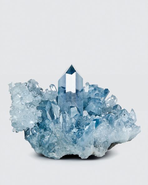 Celestite - Minerals Exhibited - Wilensky Exquisite Minerals Celestite Crystal, Aqua Blue Color, Rare Gemstones, Rocks And Crystals, Healing Stones, Madagascar, Crystals And Gemstones, Aqua Blue, Stones And Crystals