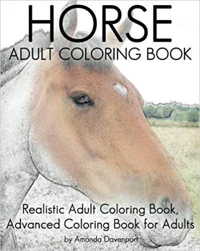 Realistic Animal Coloring Pages, Horses Coloring, Horse Coloring Books, Creative Haven Coloring Books, Anatomy Coloring Book, Horse Anatomy, Horse Books, Horse Coloring Pages, Horse Illustration