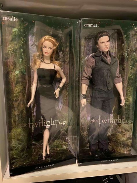 Rosalie Hale And Emmett Cullen, Emmett Twilight, Twilight Dolls, Emmett Cullen, Twilight Vibes, Rosalie Hale, Stephanie Meyers, Twilight Saga Series, Twilight Film