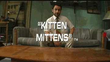 "Kitten Mittens" ™ Its Always Sunny In Philadelphia, Kitten Mittens, Best Cat Gifs, Charlie Day, Always Sunny In Philadelphia, It's Always Sunny In Philadelphia, Always Sunny, Cute Kitten Gif, Sunny In Philadelphia