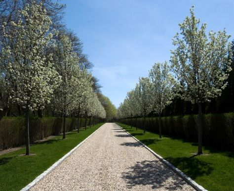 The beauty of a gravel path - Decoist Pebble Driveway, How To Trim Bushes, Beautiful Driveways, Modern Driveway, Modern Tuscan, Tree Lined Driveway, Gravel Driveway, Driveway Entrance, Driveway Design