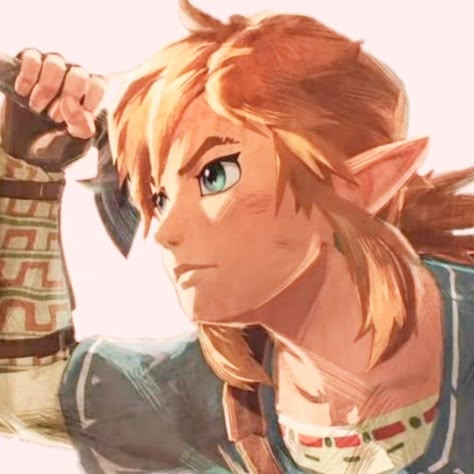 Link Icon, The Legend Of Zelda, Legend Of Zelda, Video Game, Zelda