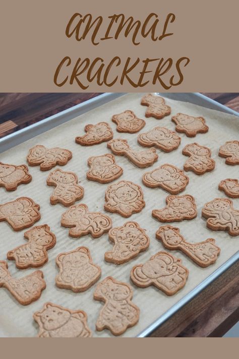 Make your own animal cracker cookies with this delicious homemade recipe! Kid-friendly, easy to make, and fun to eat! Animal Cracker Cookies Recipe, Easy Baking With Kids, Homemade Nutter Butter Cookies, Homemade Butter Crackers, Animal Cracker Recipe, Animal Cracker Cookies, Frosted Animal Crackers Recipes, Sourdough Animal Crackers, Crackers Recipe