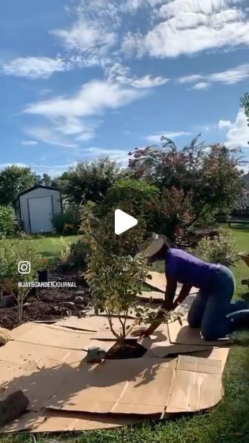 Janice Groves on Instagram: "I love sheet-mulching! 🌱 📦 🌺 #jaysgardenjournal #ilovesheetmulching #sheetmulching #cardboardmulch #gardening #garden" Sheet Mulching Lawn, Chop And Drop Mulch, Laying Mulch Tips, Forestry Mulching, Leaf Mulch, Sheet Mulching, Food Forest, Mulch, Cozy House