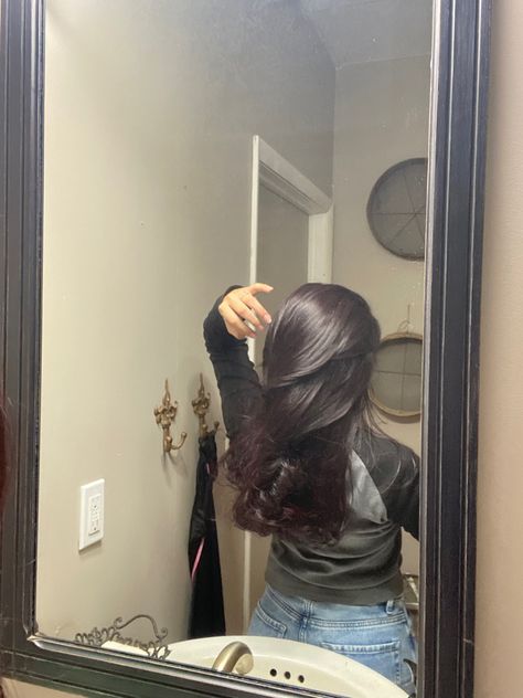 Off Black Hair Color, Purple Dye On Dark Brown Hair, Darkest Red Hair, Dark Violet Black Hair, Plum Tinted Brown Hair, Dark Brown Hair Purple Tint, Dark Purple Almost Black Hair, Black Red Hair, Plum Hair