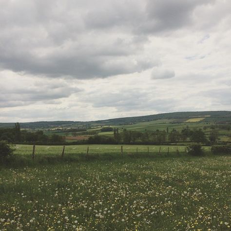 Between Two Worlds, Plant Tree, Open Field, Sylvia Plath, Cottagecore Aesthetic, Nature Aesthetic, Pretty Places, Green Aesthetic, الرسومات اللطيفة