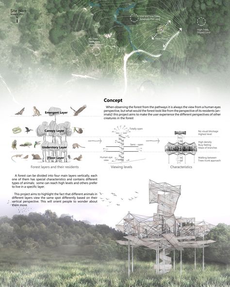 Through the Eyes of Nature | Architecture Project Nature Pavilion Architecture, Nature Observatory Architecture, Rewilding Architecture, Biodiversity Architecture, Biophilic Architecture Concept, Ecosystem Architecture, Nature Architecture Concept, Nature Observatory, Nature Diagram