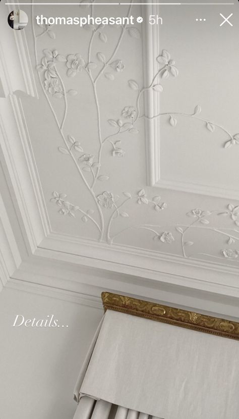 Thomas Pheasant Interiors, Victorian Home Details, Interesting Ceilings, Trim Inspiration, Ceiling Molding, Thomas Pheasant, Neoclassical Interior, Ceiling Art, Timeless Interiors