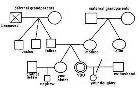 3 Generation Family Genogram | To start, view this sample map . Refer to it as you read the ... Genogram Example, Family Tree Examples, Family Genogram, Family Tree Template Excel, Genogram Template, Family Therapy Activities, Make A Family Tree, Social Work Practice, Clinical Social Work