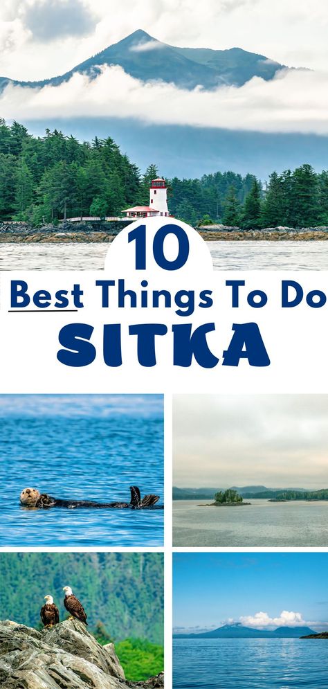 Photography of the best things to do in Sitka Alaska like seeing Otters, whales, American Eagles, the Volcano and lighthouse. Things To Do In Sitka Alaska, Sitka Alaska Things To Do, Alaska Sitka, Alaskan Cruise Excursions, Alaska Cruise Excursions, Alaska Travel Cruise, Alaskan Cruise Outfits, Cruise Tips Royal Caribbean, Tips On Saving Money