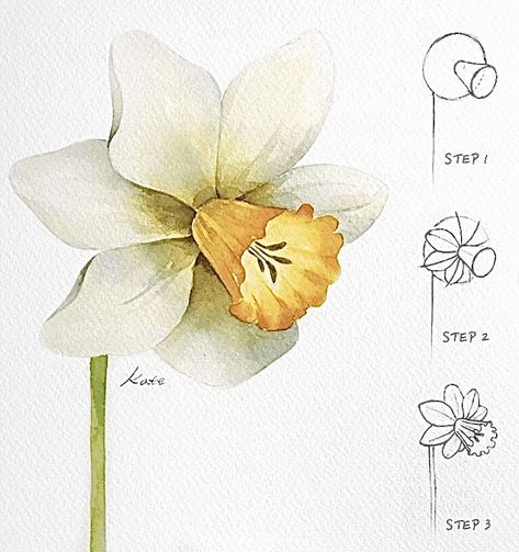 Ako Kresliť, Drawing Hands, Flower Drawing Tutorials, Flower Art Drawing, Drawing Faces, Flower Sketches, Floral Drawing, Watercolor Flower Art, 수채화 그림